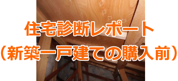 住宅診断レポート（新築一戸建ての購入前・木造）No1